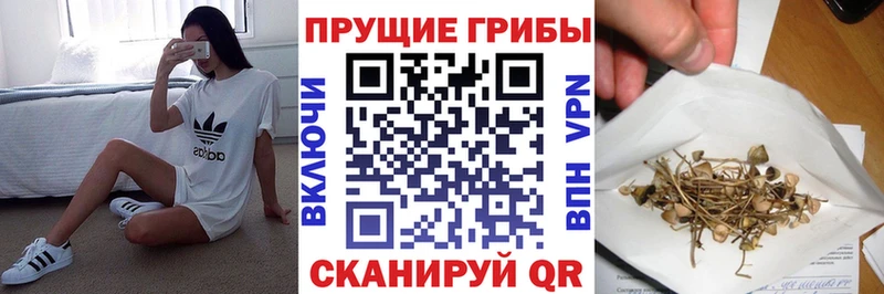 Псилоцибиновые грибы MAGIC MUSHROOMS  мориарти наркотические препараты  Александровск-Сахалинский  закладка 
